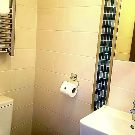 The Dolphin Hotel 3*