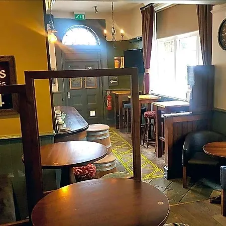 The Dolphin 3*