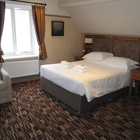 The Dolphin 3*