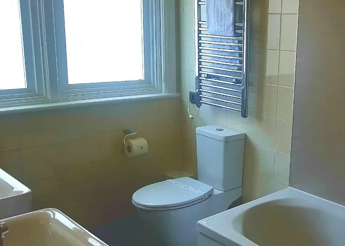 The Dolphin Hotel 3*