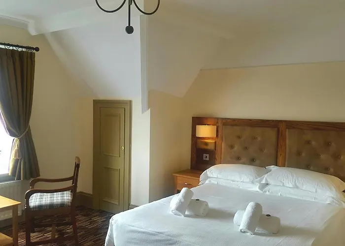 The Dolphin Hotel 3*