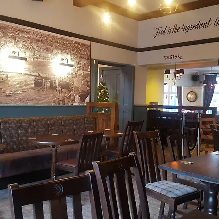 酒店 海豚酒店 3*