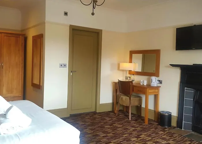 酒店 海豚酒店 3*