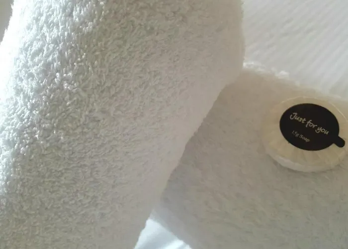 海豚酒店 惠特比