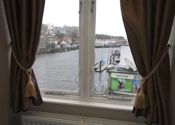 酒店 海豚酒店 3*