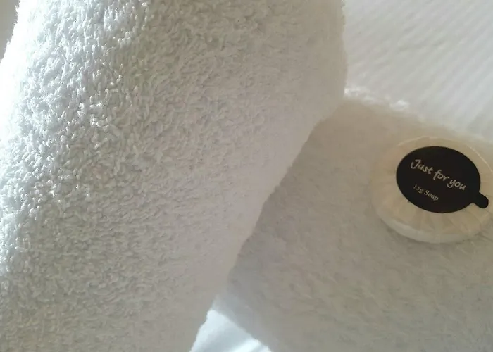 酒店 海豚酒店 惠特比